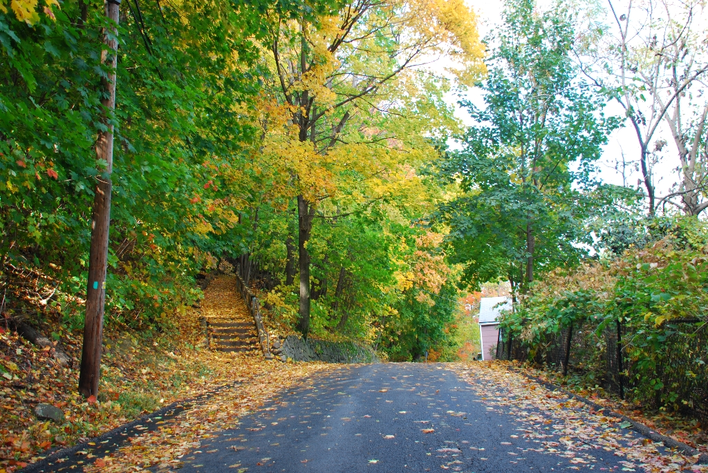 DSC_3847.JPG